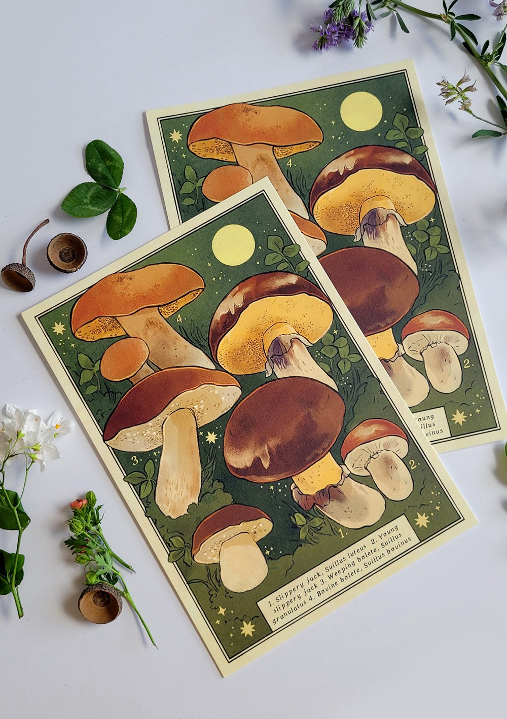 Fungi Foray Print - 3